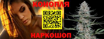 стаф Кинель