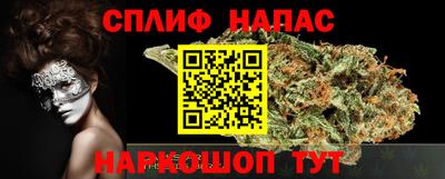 прущие грибы Канаш