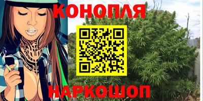 PSILOCYBIN Камышлов