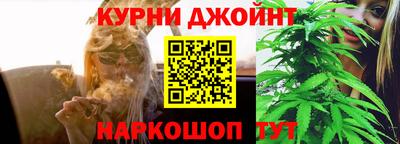 прущие грибы Канаш