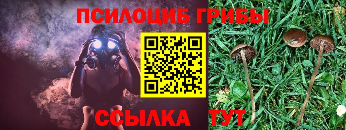 Псилоцибиновые грибы прущие грибы  Вход с VPN  Краснокаменск 